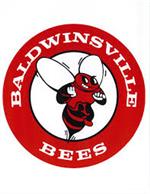 Bville Bees 